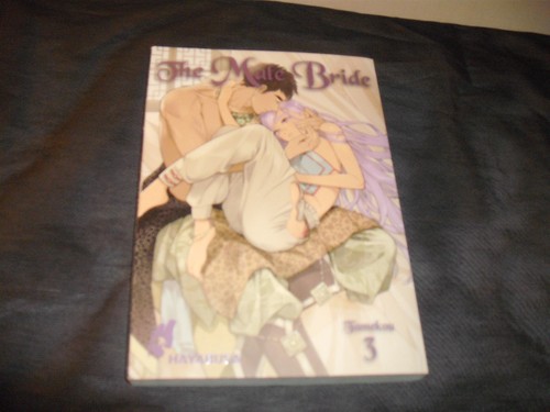 The male bride - male,