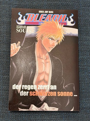 Bleach character book souls - bleach,
